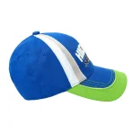 Hidden Season Team Hat (2)